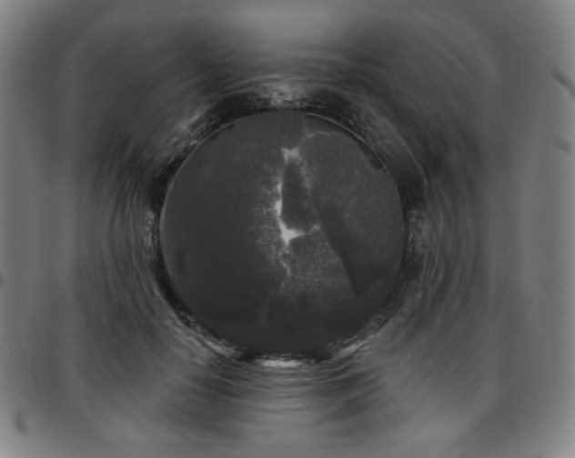 X0000097630650200802291341