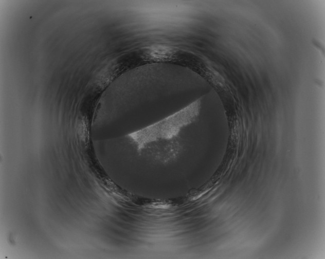 X0000097630651200802291341