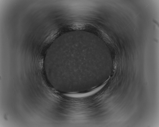 X0000097630652200802291341