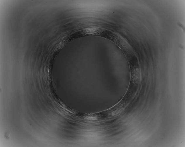 X0000097630653200802291341