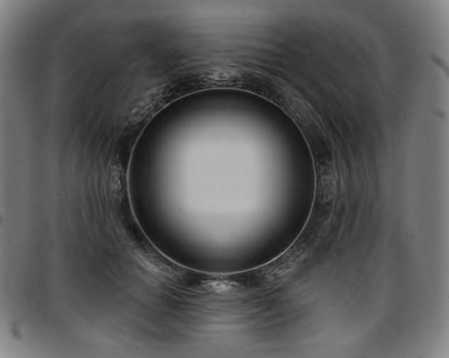 X0000097630654200802291341