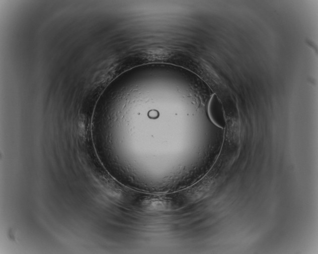 X0000097630655200802291342