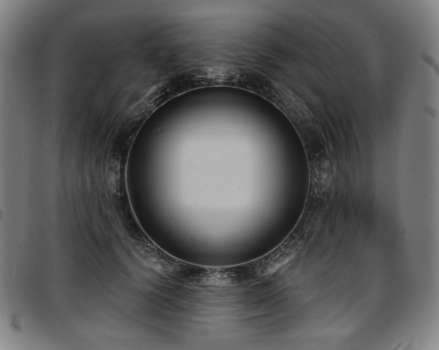 X0000097630656200802291342
