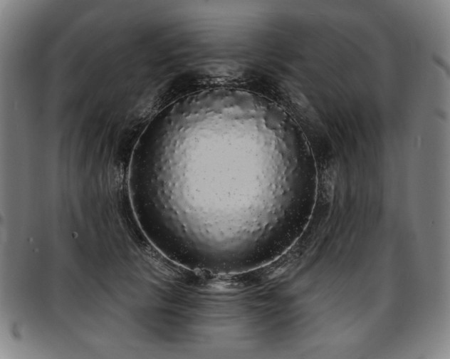 X0000097630657200802291342