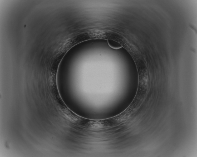 X0000097630658200802291342