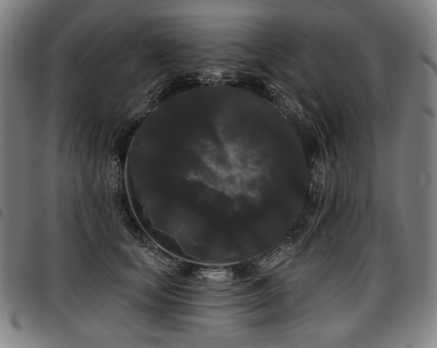 X0000097630659200802291342