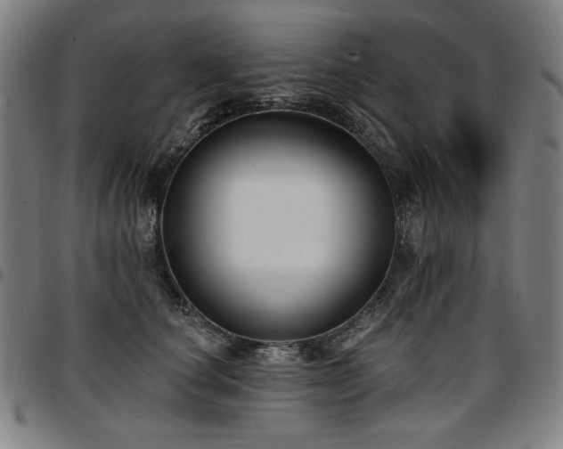 X0000097630660200802291342
