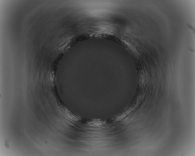 X0000097630661200802291342