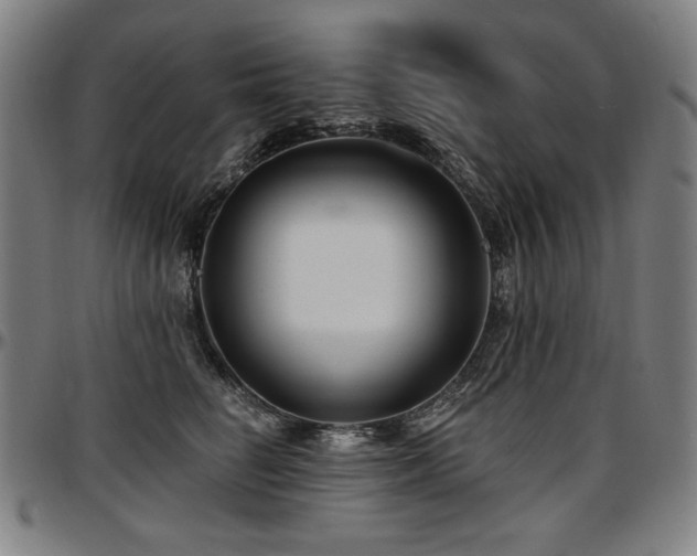 X0000097630662200802291342