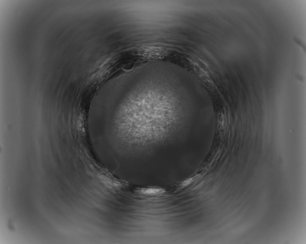 X0000097630663200802291342