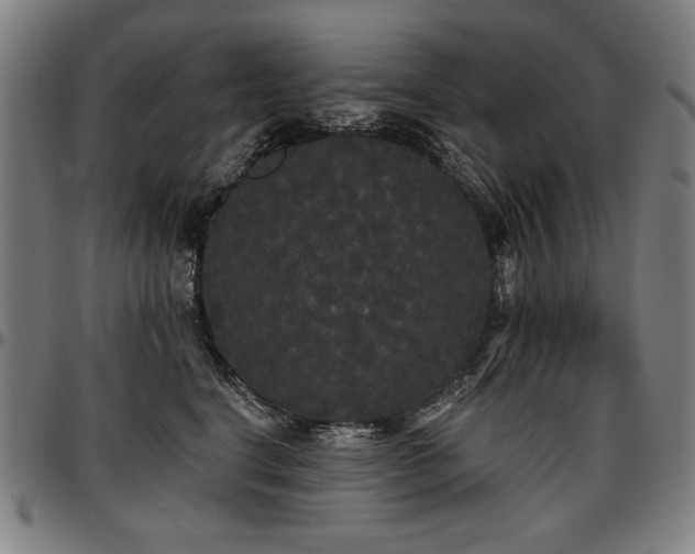 X0000097630664200802291342