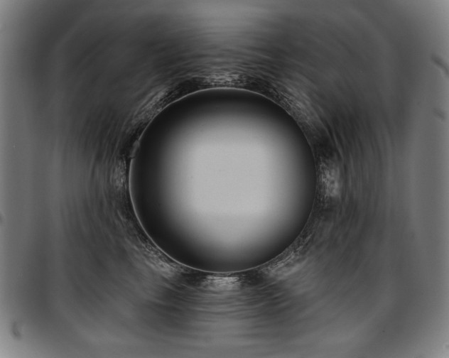 X0000097630665200802291342