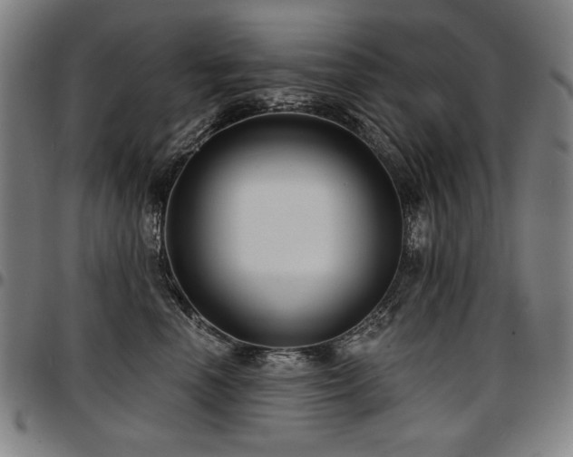 X0000097630666200802291342