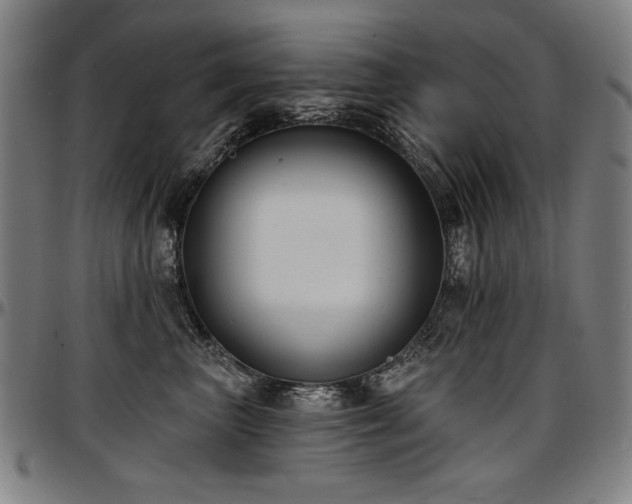 X0000097630667200802291342