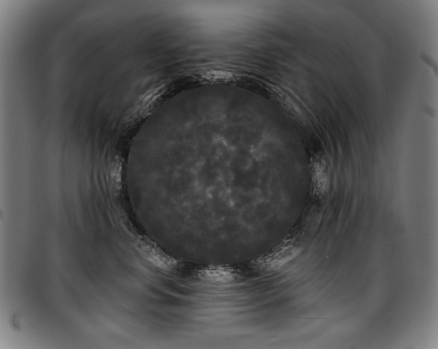 X0000097630668200802291342