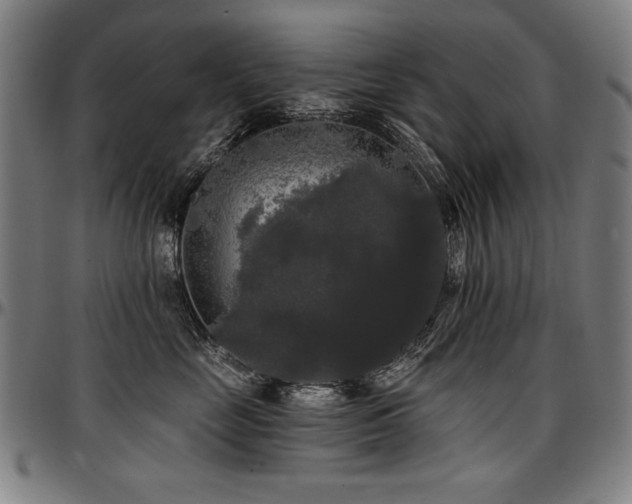 X0000097630669200802291342