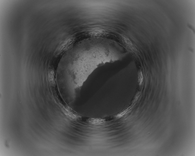 X0000097630670200802291342