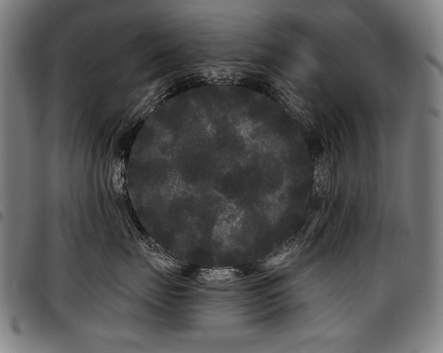 X0000097630671200802291342