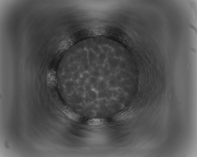 X0000097630672200802291342