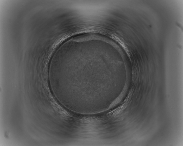 X0000097630673200802291341