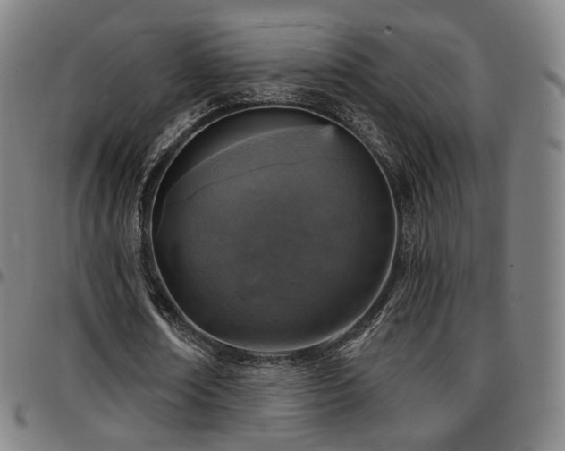 X0000097630674200802291341