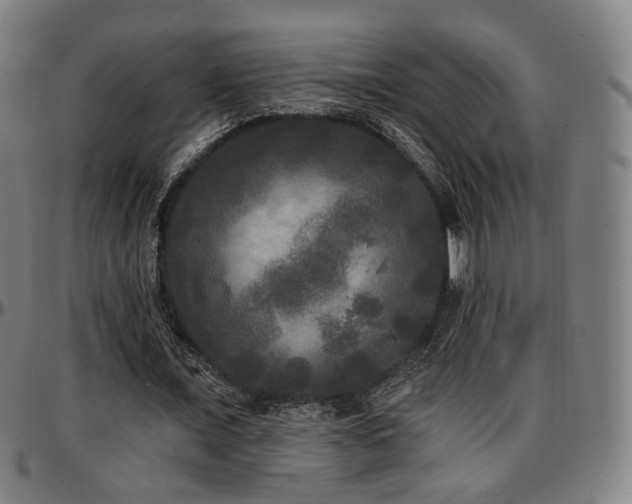 X0000097630675200802291341