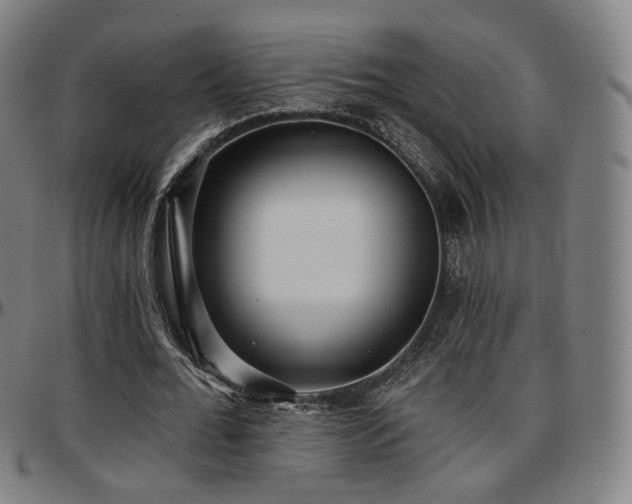 X0000097630676200802291341