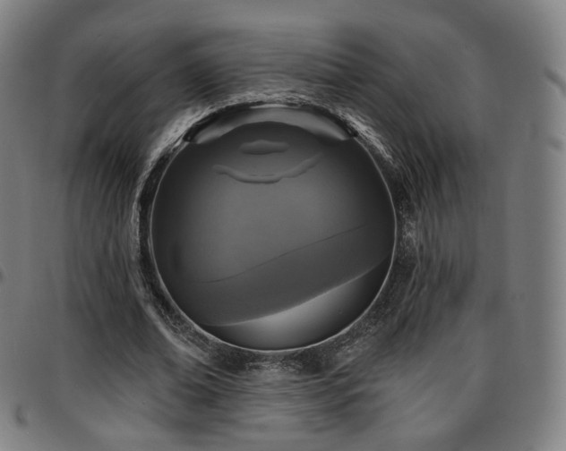 X0000097630678200802291341