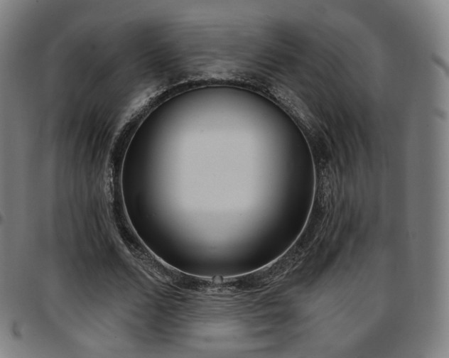 X0000097630680200802291341