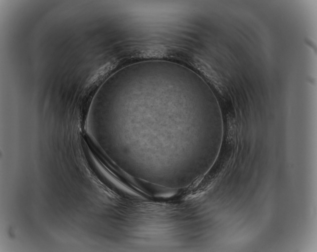 X0000097630681200802291341