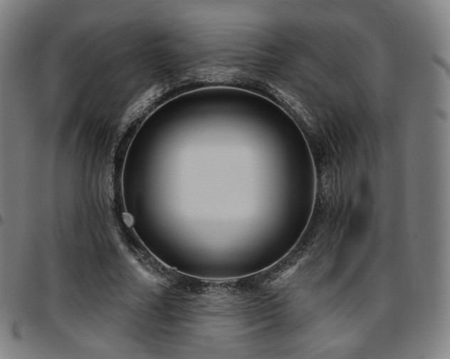 X0000097630682200802291341