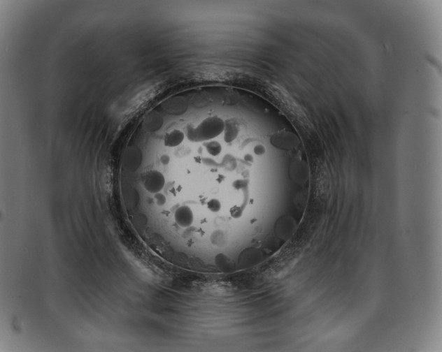 X0000097630683200802291341