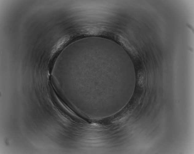 X0000097630685200802291341