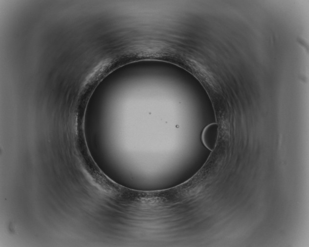 X0000097630686200802291341