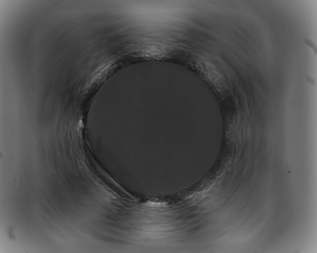 X0000097630689200802291341