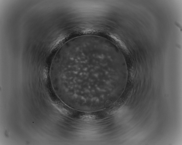 X0000097630691200802291341