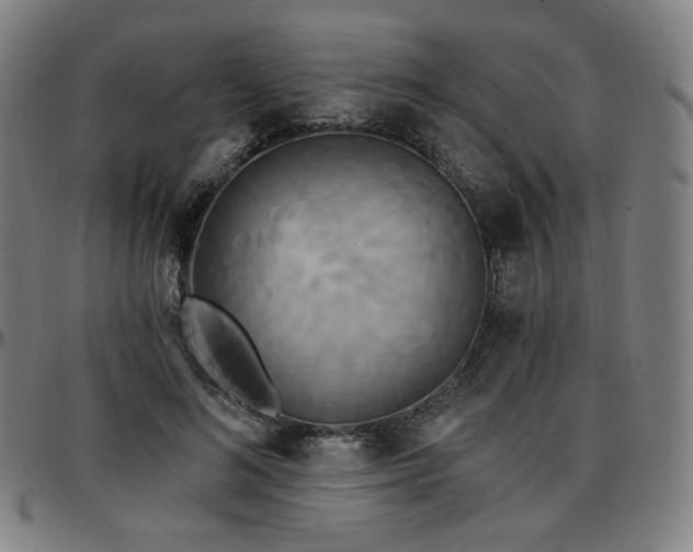 X0000097630692200802291341