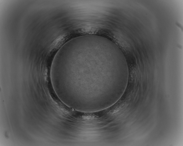 X0000097630693200802291341