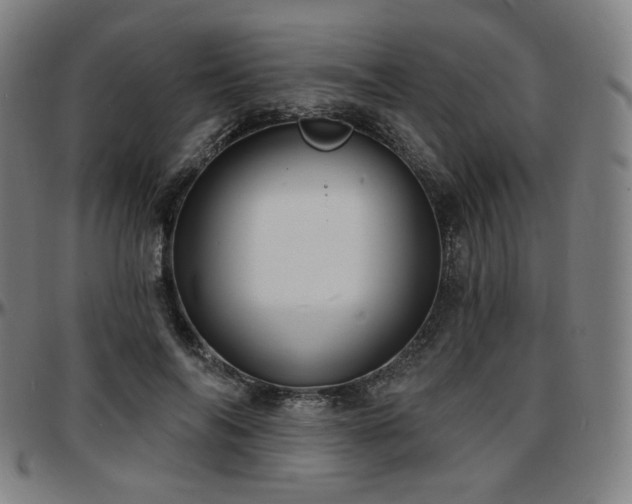 X0000097630694200802291341