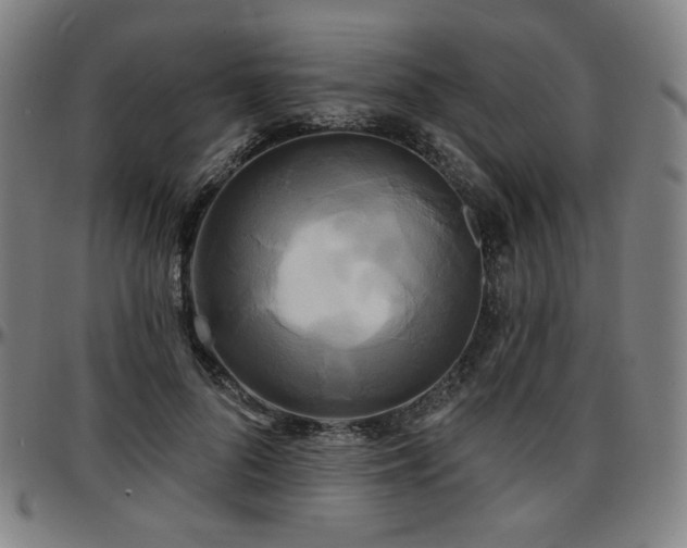 X0000097630696200802291341