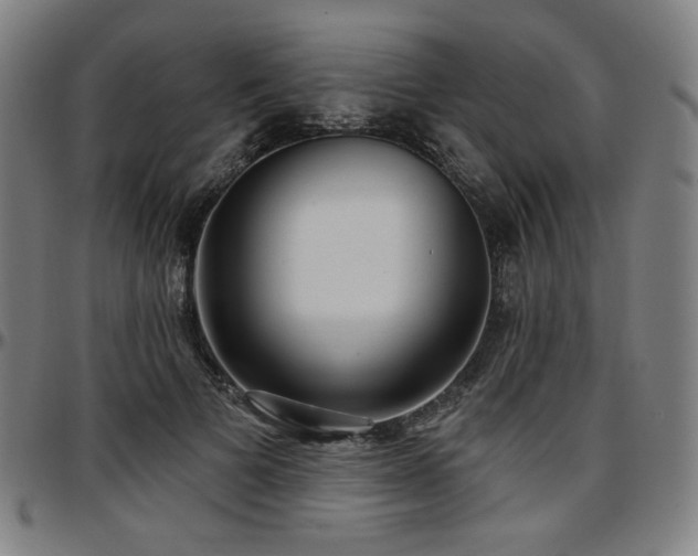 X0000097630697200802291341