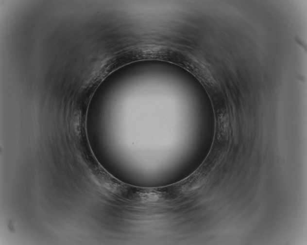 X0000097630698200802291341