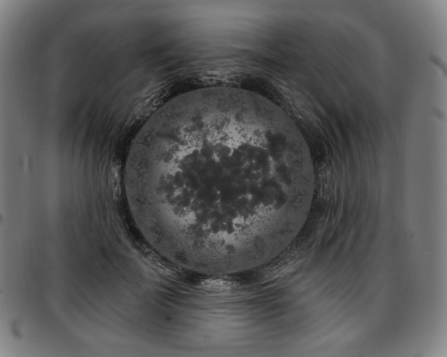 X0000097630699200802291341