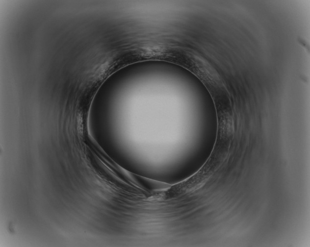 X0000097630700200802291340