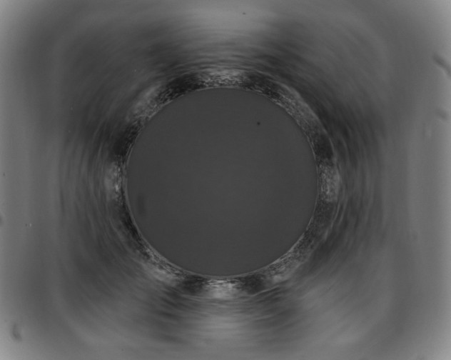X0000097630701200802291340