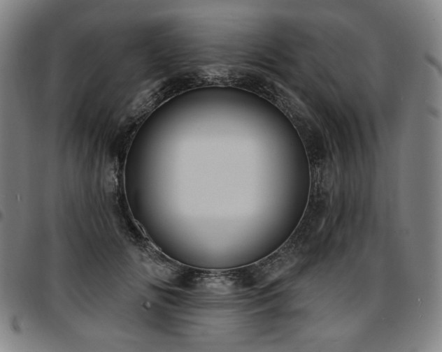 X0000097630702200802291340
