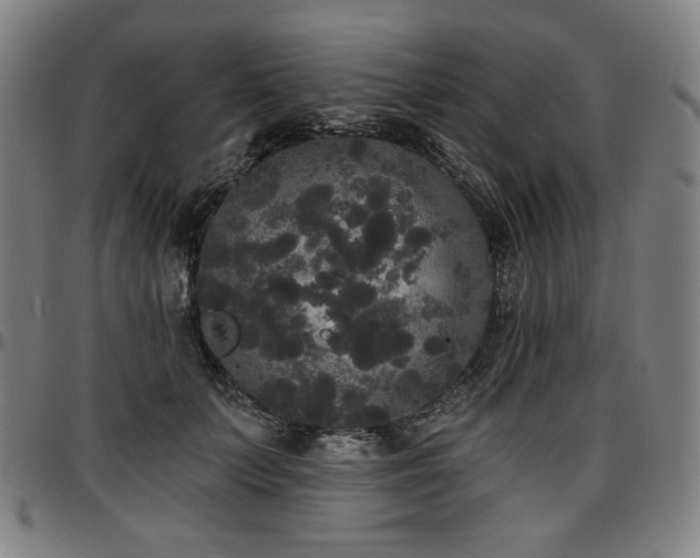 X0000097630703200802291340