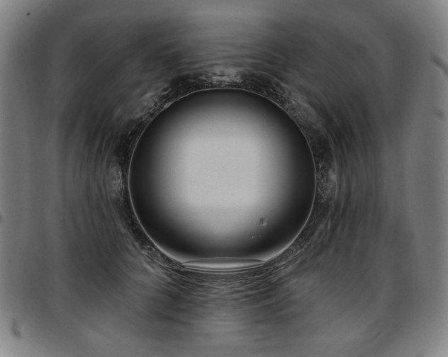 X0000097630704200802291340