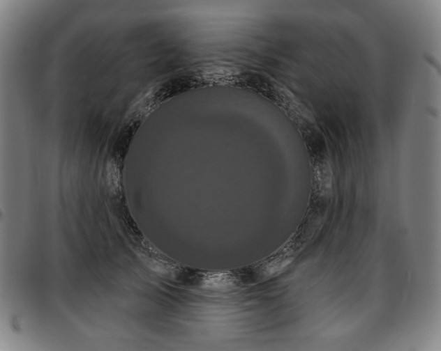 X0000097630705200802291340