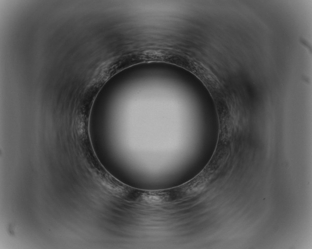 X0000097630706200802291340